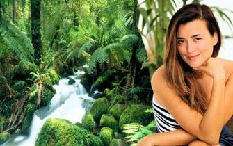 Ncis Image Ziva Aka Cote De Pablo HD Wallpaper And Background