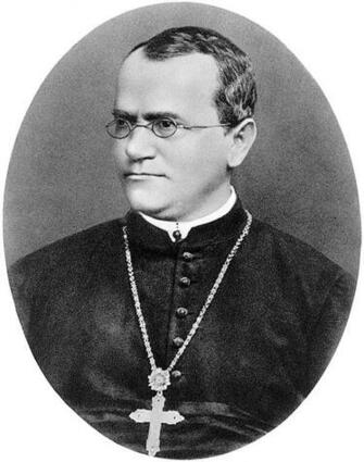 Gregor Mendel Wikiwand