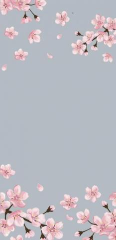 Kawaii Stuff