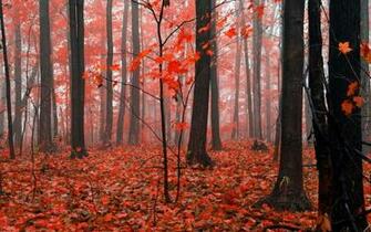 Burlington Ontario