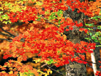Autumn Wallpaper National Geographic