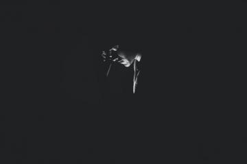 Best Pain Pictures HD Image