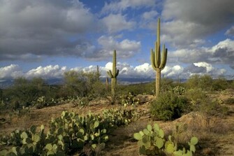 Arizona Nice Picture Photo Wallpaper