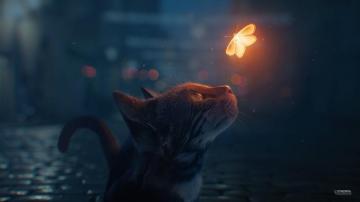 The Cat Looking At Butterfly HD Wallpaper Cats