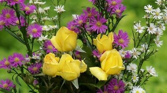 Beautiful Flower Background Background