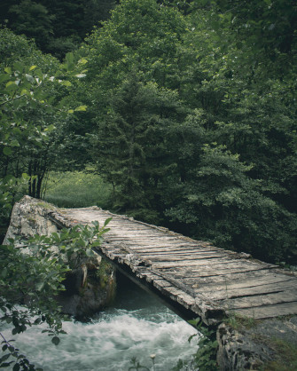 Nature Green River Wallpaper