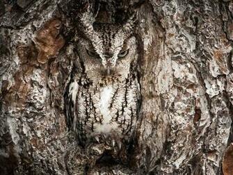 Nat Geo Travel Contest Winners