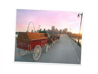 Budweiser Clydesdales Wallpaper Background Theme Desktop