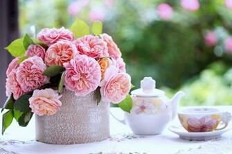 Roses Flowers Breakfast Coffee Morning Milk Relax Romance Love