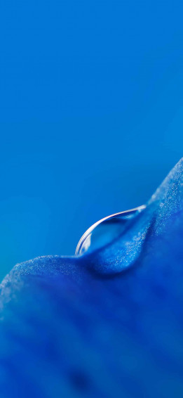 Xiaomi Mi Stock Wallpaper