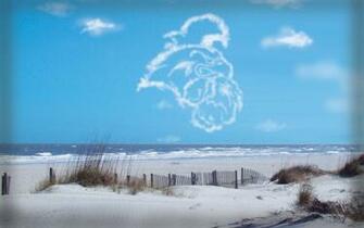 Coastal Carolina University Wallpaper S