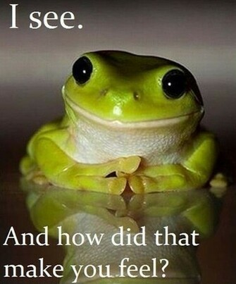 Cute Frog