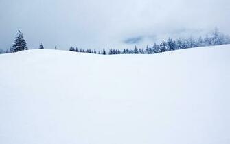 White Snow Wallpaper And Image Pictures Photos