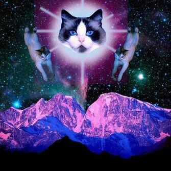 Tarot Potions And Psychedelic Magick Spells Hipster Cats In Space