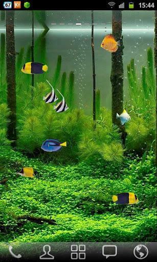 Live Aquarium For Galaxy S Android Indonesian Gratis