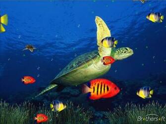 Live Screensavers Widescreen HD Wallpaper