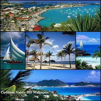 Caribbean Nature HD Wallpaper