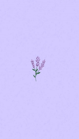 Light Purple Aesthetic Lavender Flower Wallpaper