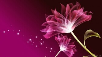 3d Pink Beautiful Flower Wallpaper High Resolution