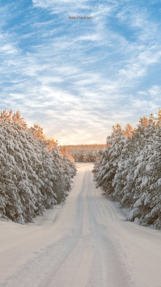 Snowy Path Winter iPhone Wallpaper