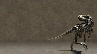 Dinosaurs Dinosaur Skeleton Bones X With Resolutions