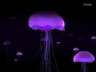 Purple Black Blue Desktop Pc And Mac Wallpaper