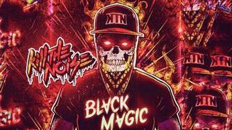 Kill The Noise Music Graphic Design Skull