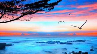 Computer Wallpaper Desktop Background Ocean