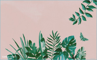 Soft Aesthetic Computer Background Net