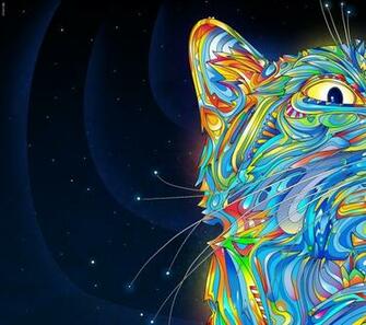 Cats Rainbows Trippy Wallpaper High Resolution Hi