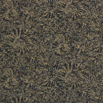 Ammonite Wallpaper Sample