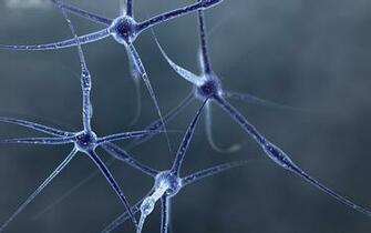 Blue Genetic Illustration HD Wallpaper