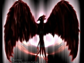 Black Phoenix Wallpaper By Aurongard