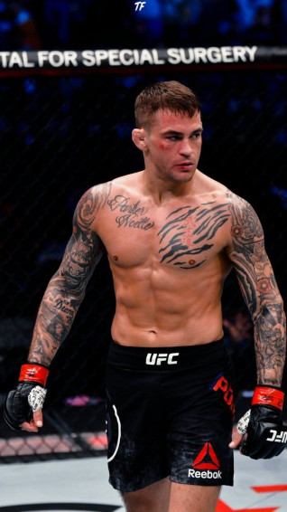 Dustin Poirier Wallpaper Discover More American