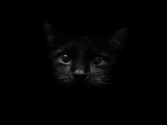 Resize Crop It In Available Screen Resolutions