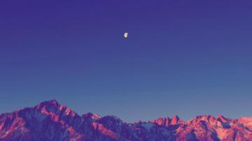 Wallpaper Dump