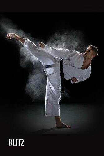 The Martial Arts Wallpaper From Blitz