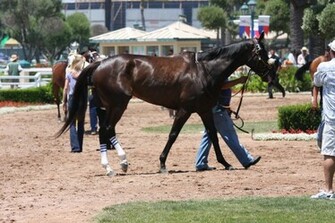 Zenyatta At Hp July Graphics Pictures Image For Myspace