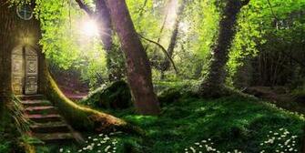 Magical Forest Wallpaper Sf