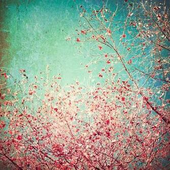 Pink And Turquoise Art Decor Sky Blue