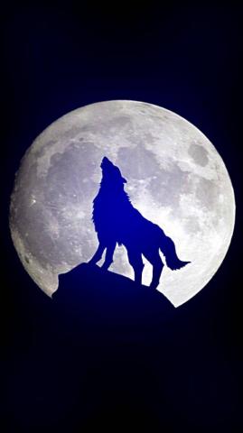 Wolf Moon Wallpaper By Dathys 3c Now
