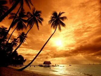 Sunset Wallpaper Image Photos Pictures And Background For