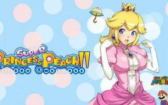 Nintendo Video Games Mario Bros Super Princess Peach Bpzl