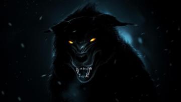Black Wolf Wallpaper