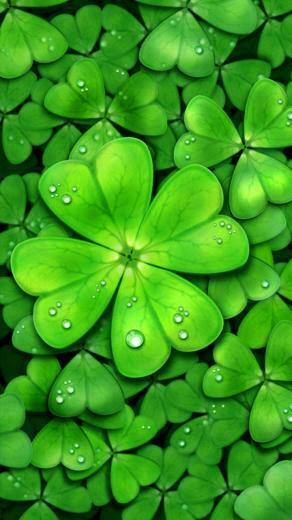 Four Leaf Clover Wallpaper Top