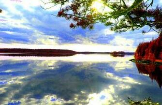 Mirror Reflection