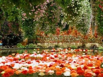 Flower Garden Wallpaper