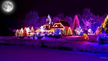 Christmas Lights By Madonna