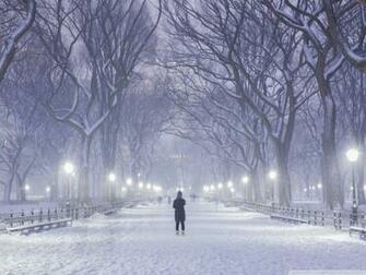 Central Park New York City Winter Background 4k HD Desktop