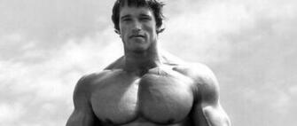 Bodybuilder Arnold Schwarzenegger Wallpaper